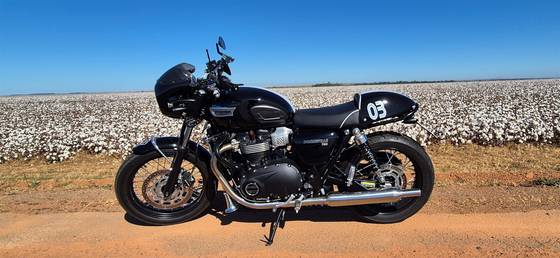 TRIUMPH BONNEVILLE T100 900 TRIUMPH BONNEVILLE T100 900